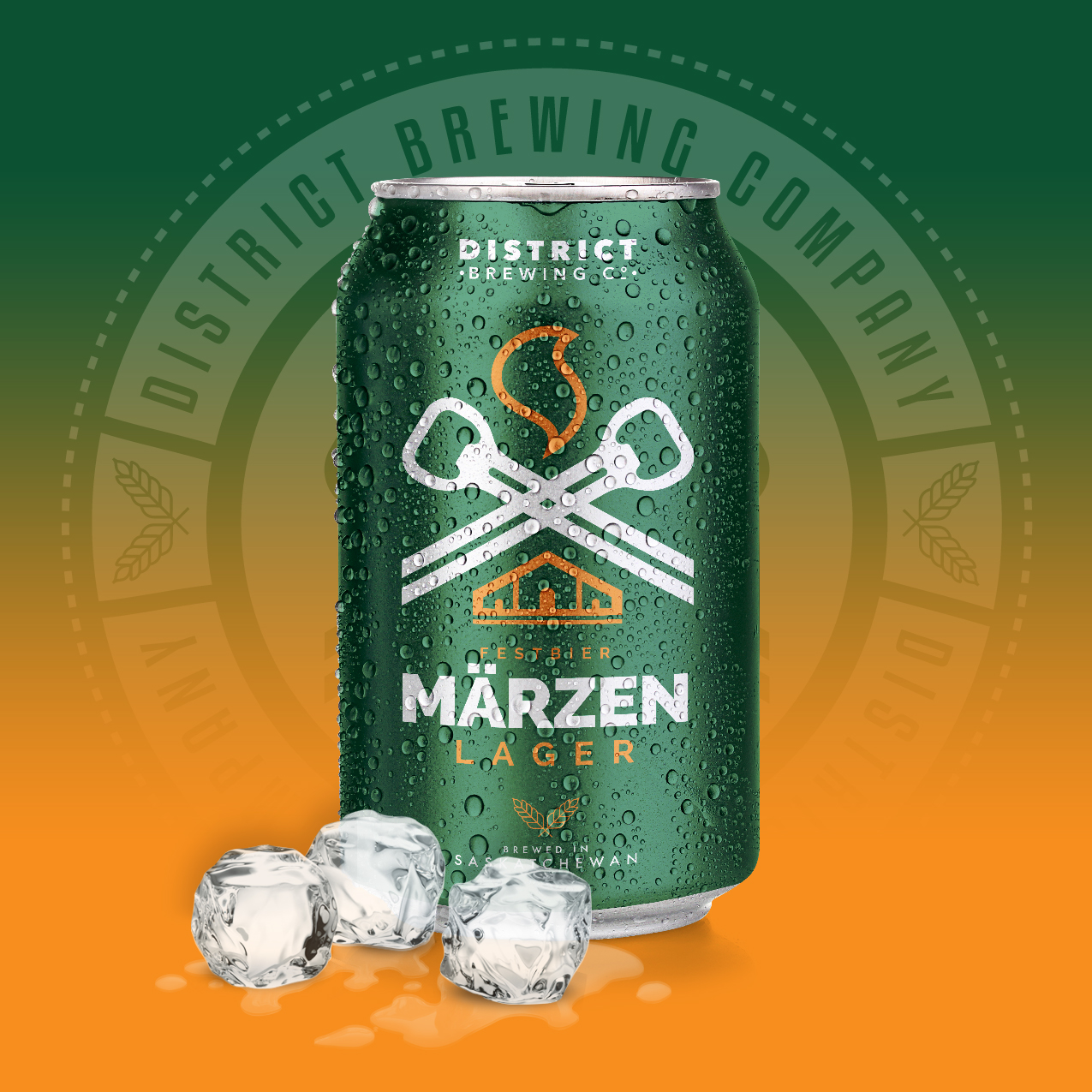 Festbier Marzen Distrcit Brewing Company Craft Beer