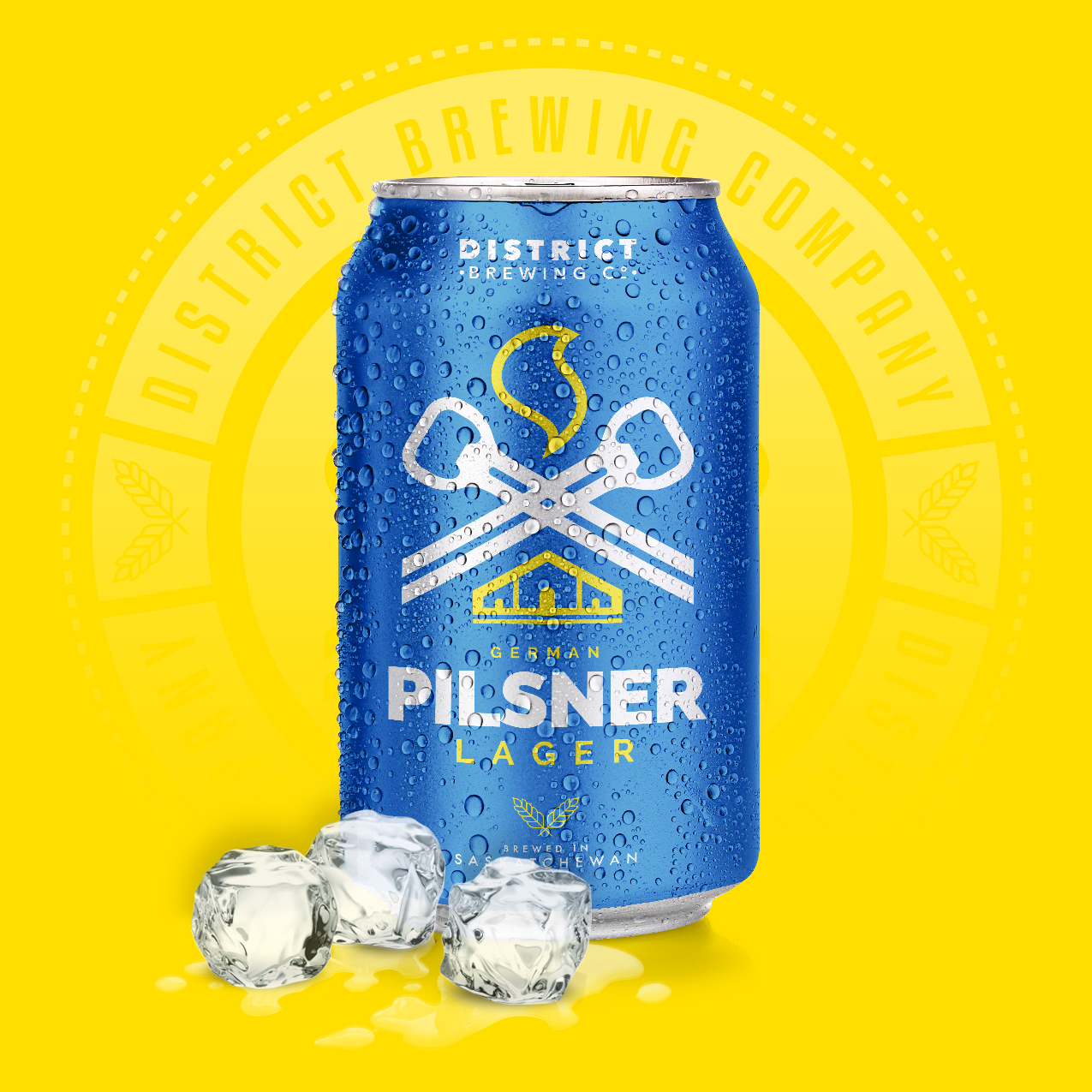German Pilsner Distrcit Brewing Company Craft Beer